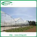 PE material high tunnel agriculture greenhouse for sale